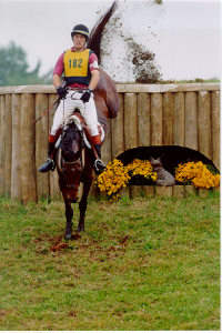 Mark Nelson riding Power of 2 at Morven Park HT.