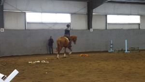 Misha Wylie & Oliver showing off their skills in the Hyde Moffat clinic on April 11, 2016.