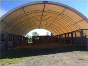 Coverall stabling - where many extra horses were stabled for the weekend!