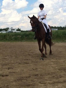 Kristin McLaren and her sweaty prancing pony Panamerra (Annie) warming up for their debut at the 3rd level at Numech Silver Dressage Show on April 19th.