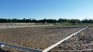 Ready for the Silver Dressage Show to begin!