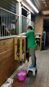 If you give Tate enough cookies and pizza for lunch during a clinic, she'll spontaneously start cleaning the barn - for fun!?! Parenting win!