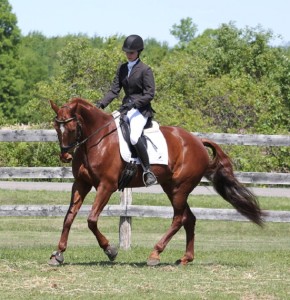 Kristin McLaren & Panamerra warming up for their Second Level dressage debut!  Photo by: Emma Richardson