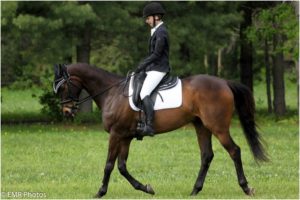 Kenzi-Greer Mitchell & Top Gun prancing their way through the Training Level tests at the Silver Dressage Show at Stevens Creek. Photo by: Emma Richardson