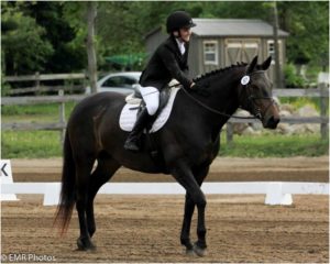 Portia the amazing dressage pony breezing through her Training Level tests at Stevens Creek Silver Dressage Show. Photo by: Emma Richardson