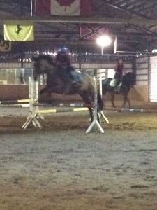 Taya & Gem working through the fun exercise in the arena this past week. 