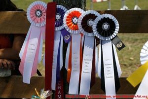 2007 Oakhurst 3-day ribbons