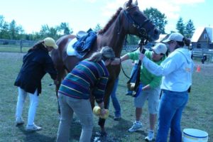 Working in the 10 minute box at the Oakhurst 3-day in 2007