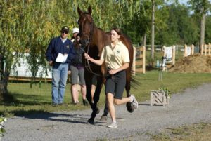 Horse Inspection at the Oakhurst 3-day 2007