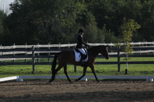 Cindy Moore & Gemini in the Silver Dressage Show at Oakhurst, Aug 30, 2015.