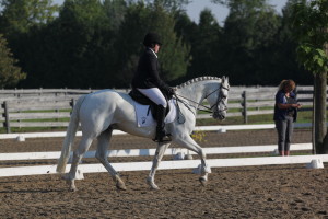 Alexa Bresnahan & Aragon strutting their stuff in the Training Level at the Oakhurst Silver Dressage Show Aug 30, 2015.